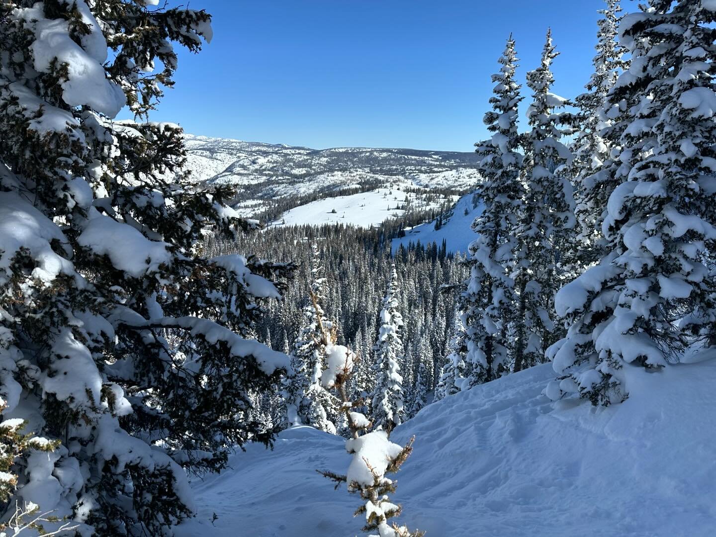Snow much fun @steamboatresort