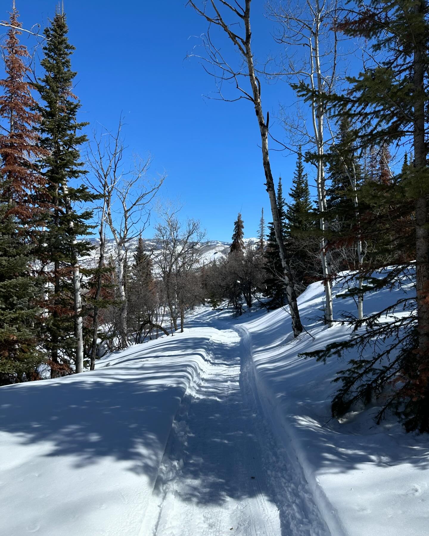 Beautiful day for fat bike adventuring