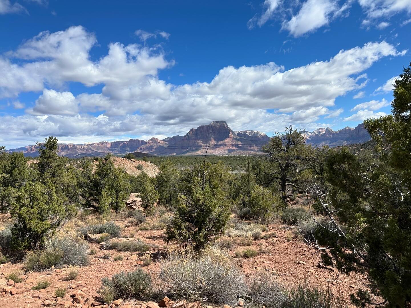 Amazing views and trails on Wire Mesa