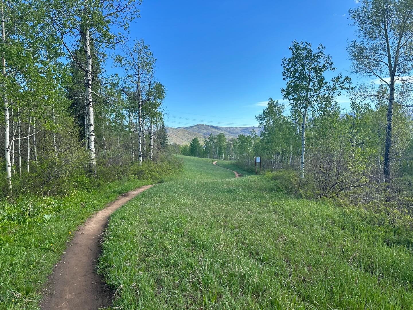 Emerald Mountain in the spring. Lovely.