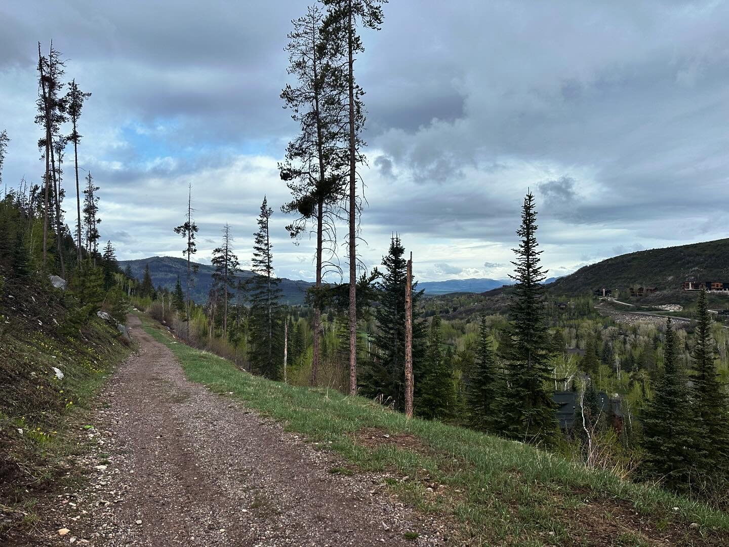 Cold. Wet. Overcast. Perfect conditions to ride your bike.