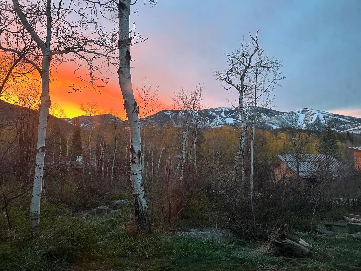 Alta wanted you to see this sunrise.