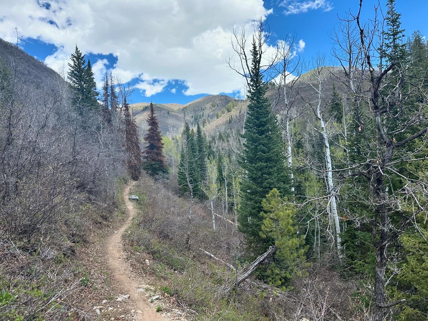 Spring Creek lunch laps