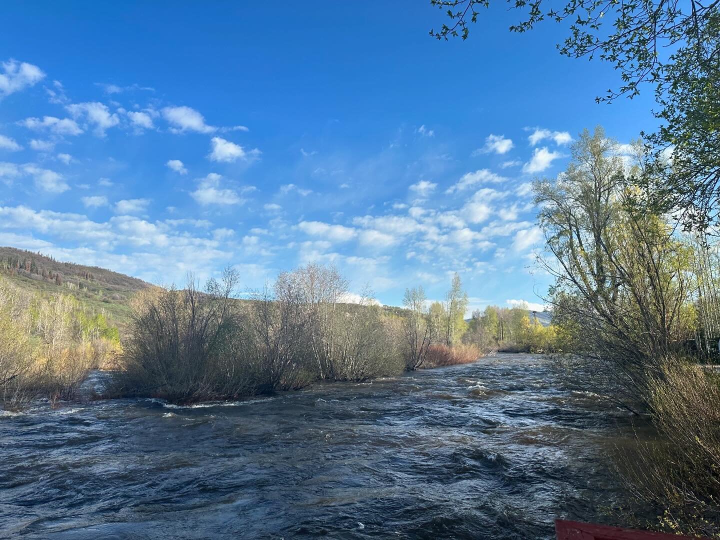 Springtime in Steamboat