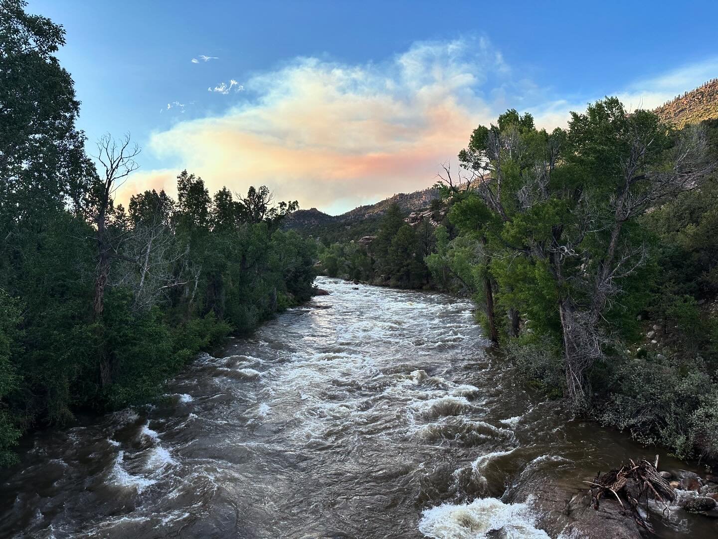 More of Buena Vista