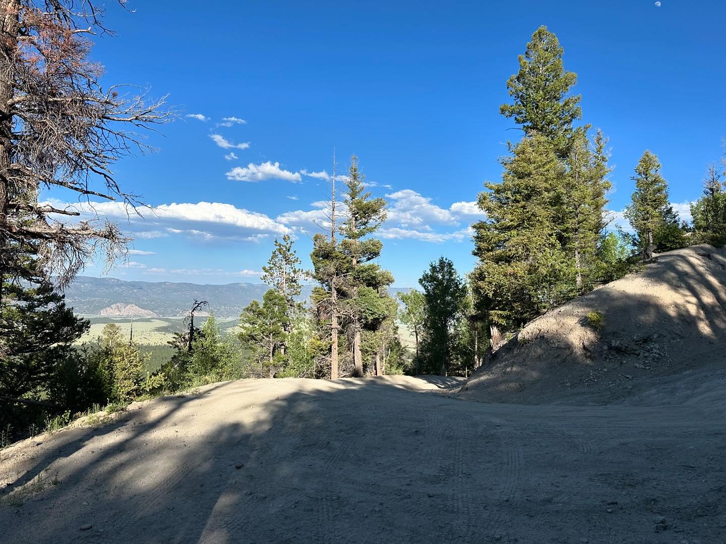 Biking the Colorado Trail in the San Isabel National Forest