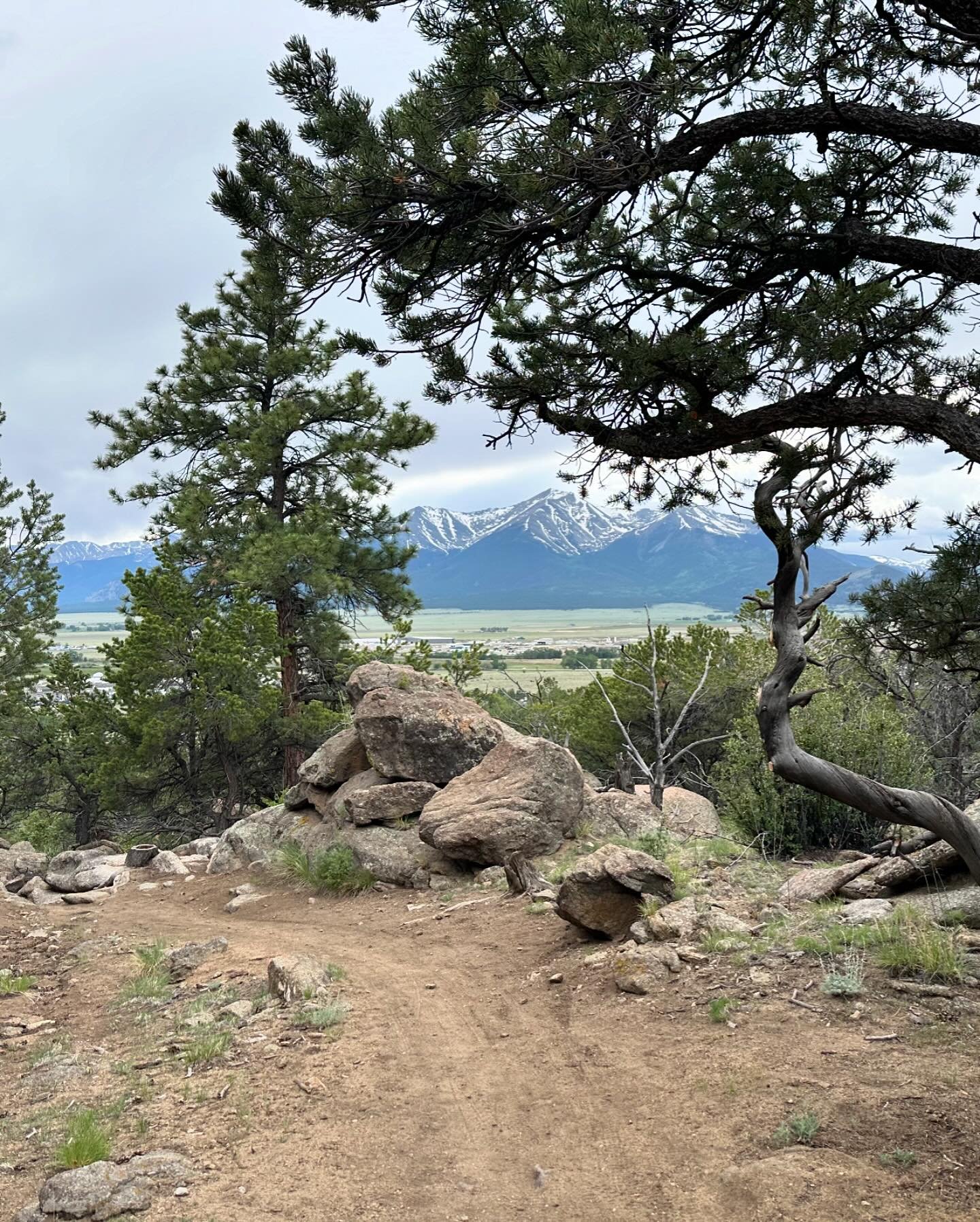 Buena Vista, CO