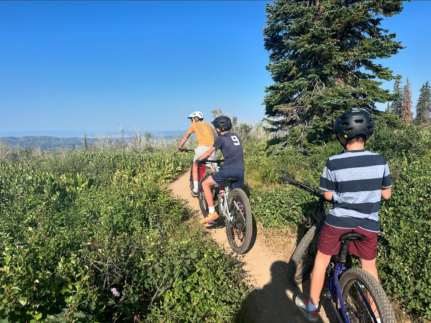 Biking on Buff Pass