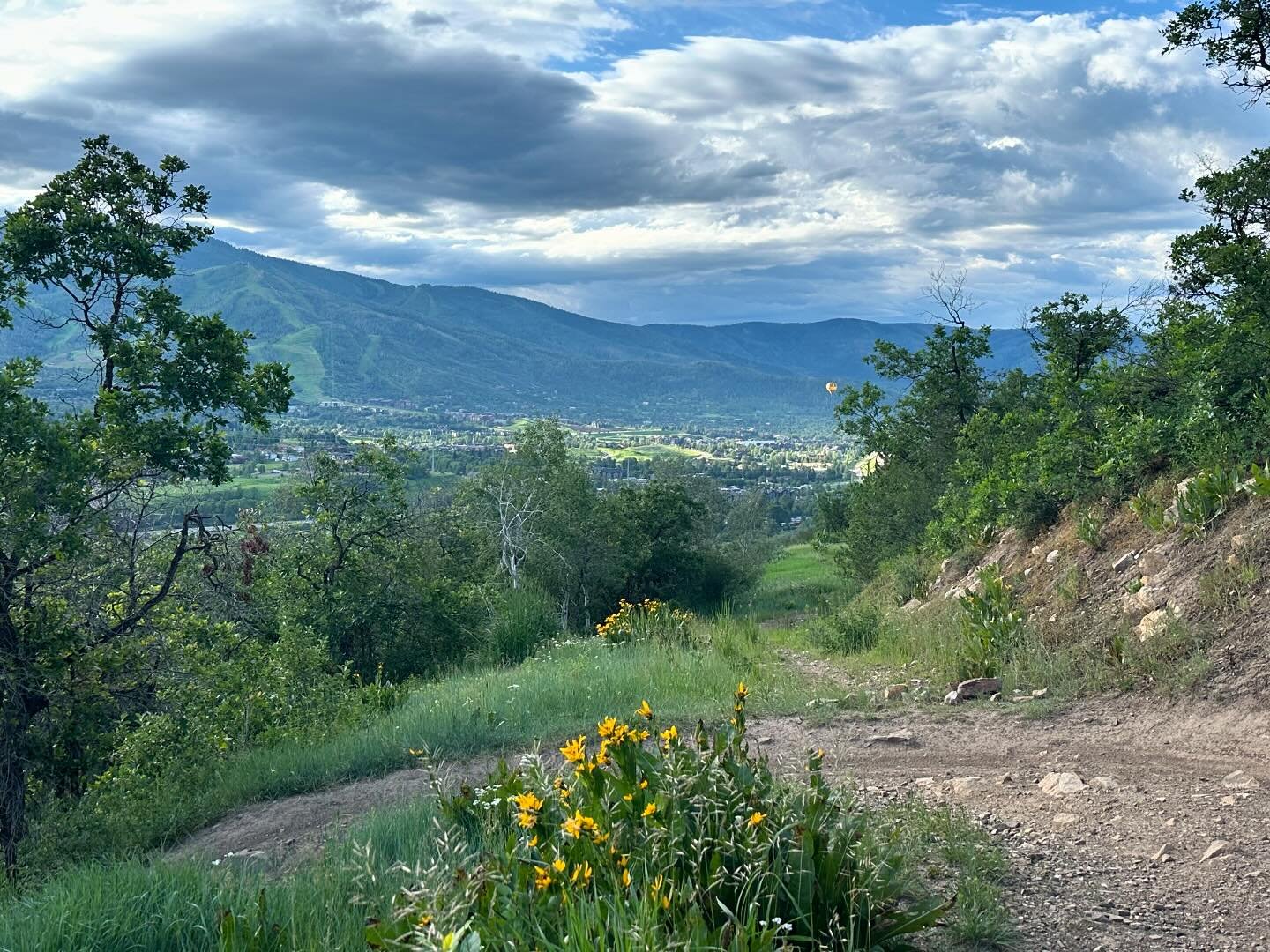Peaceful morning in the Yampa Valley