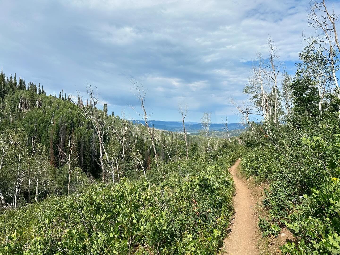 Wesley rocked it today. 22 mile ride, 2,600 ft vert on Buff Pass.
