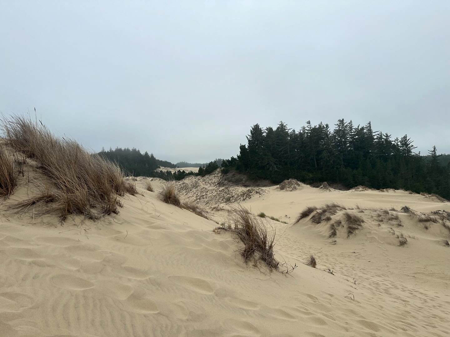 Oregon sand dunes
