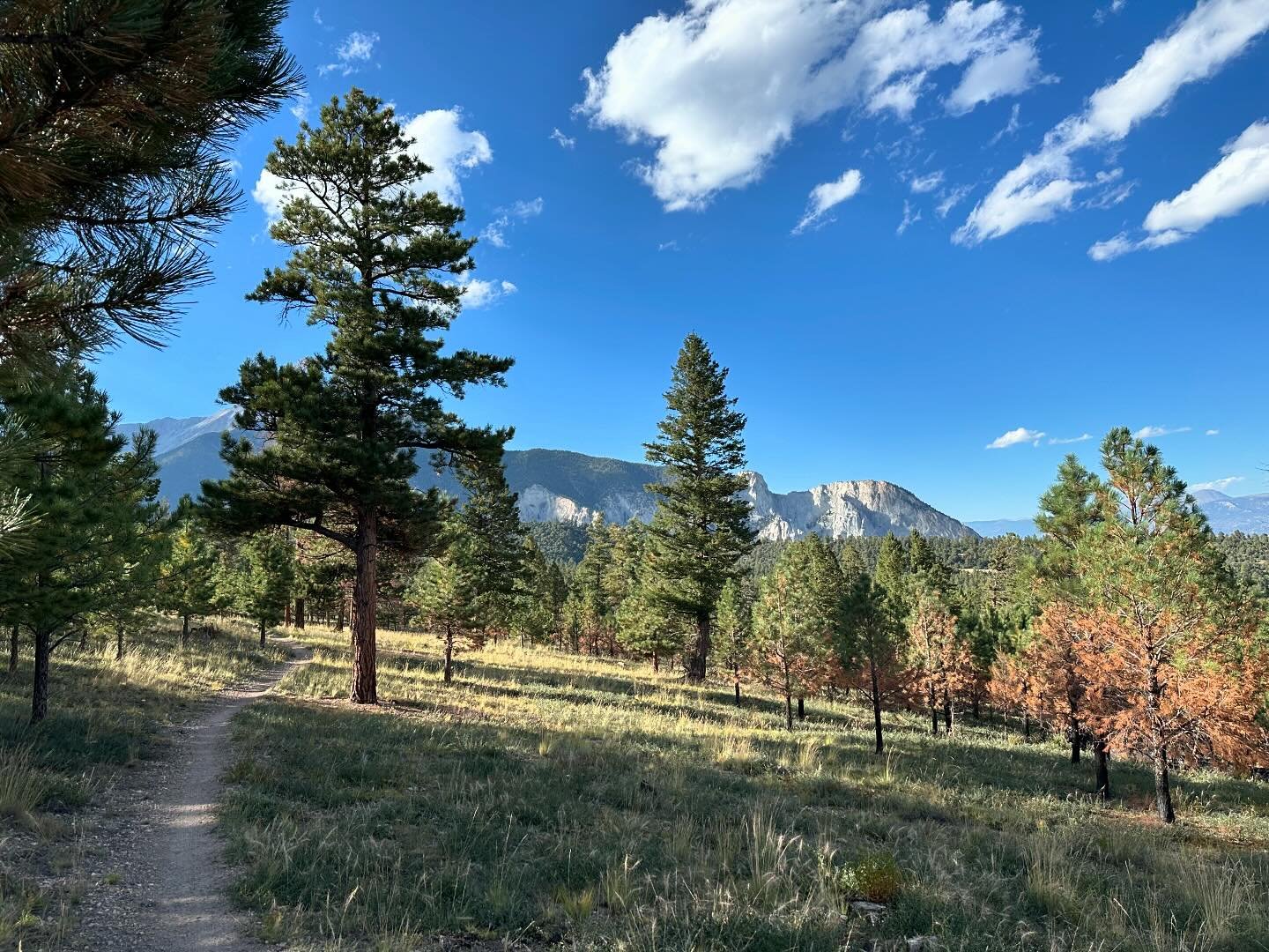 Biking the Colorado Trail near Nathrop, CO.