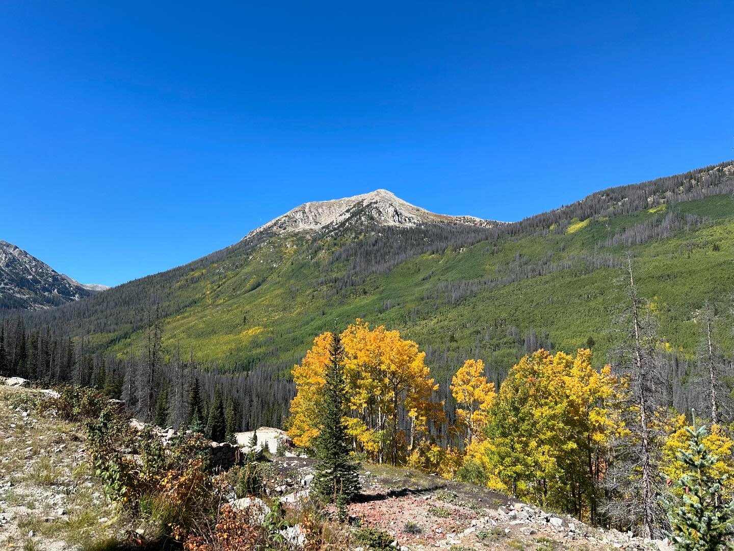 Biking the Continental Divide Trail near Tin Cup Pass and St. Elmo