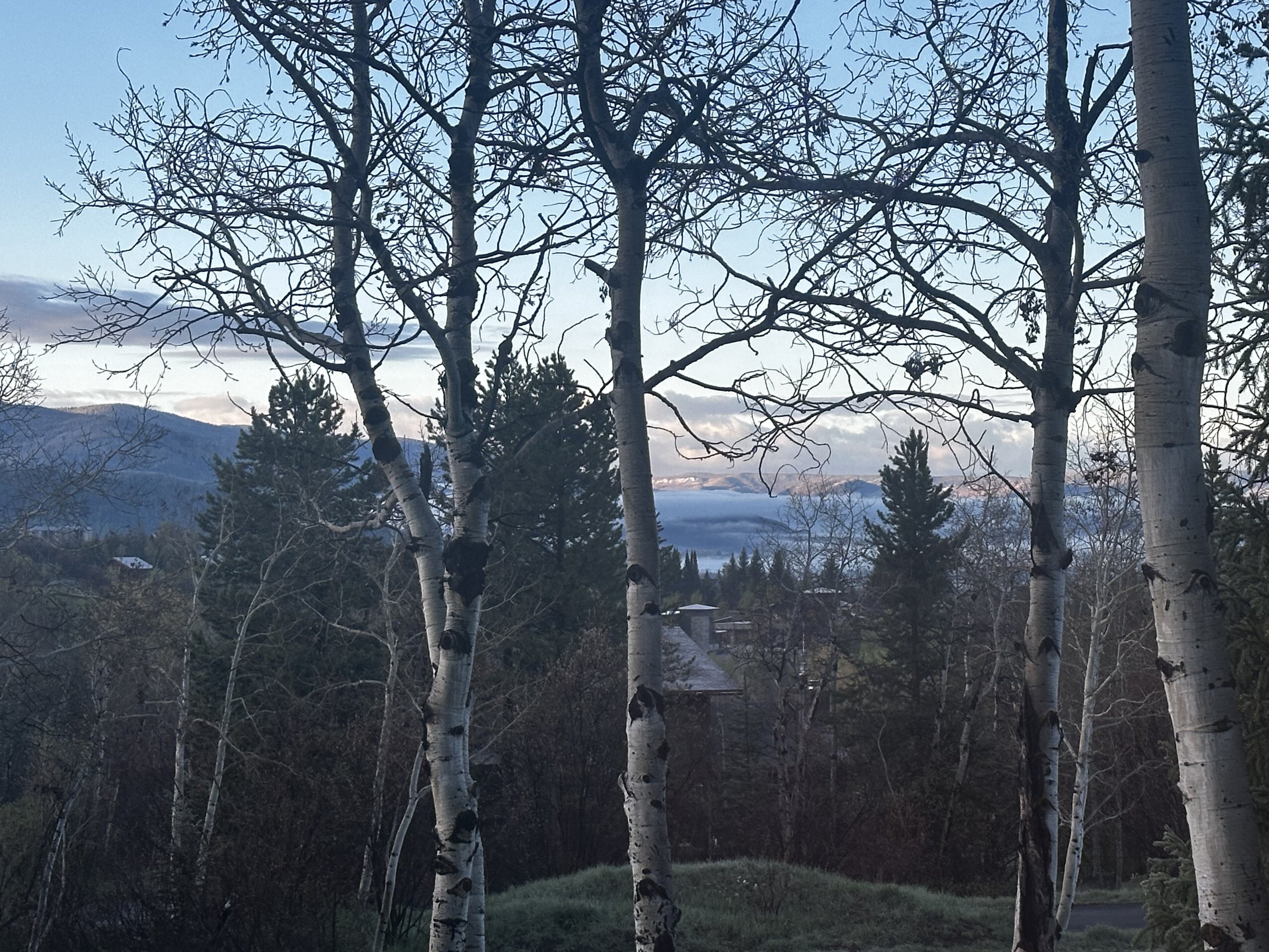 Misty morning in the Yampa Valley