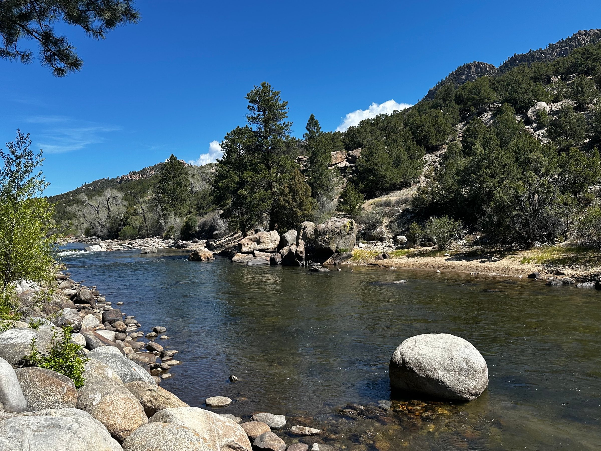 Sunday Fun Day in Buena Vista