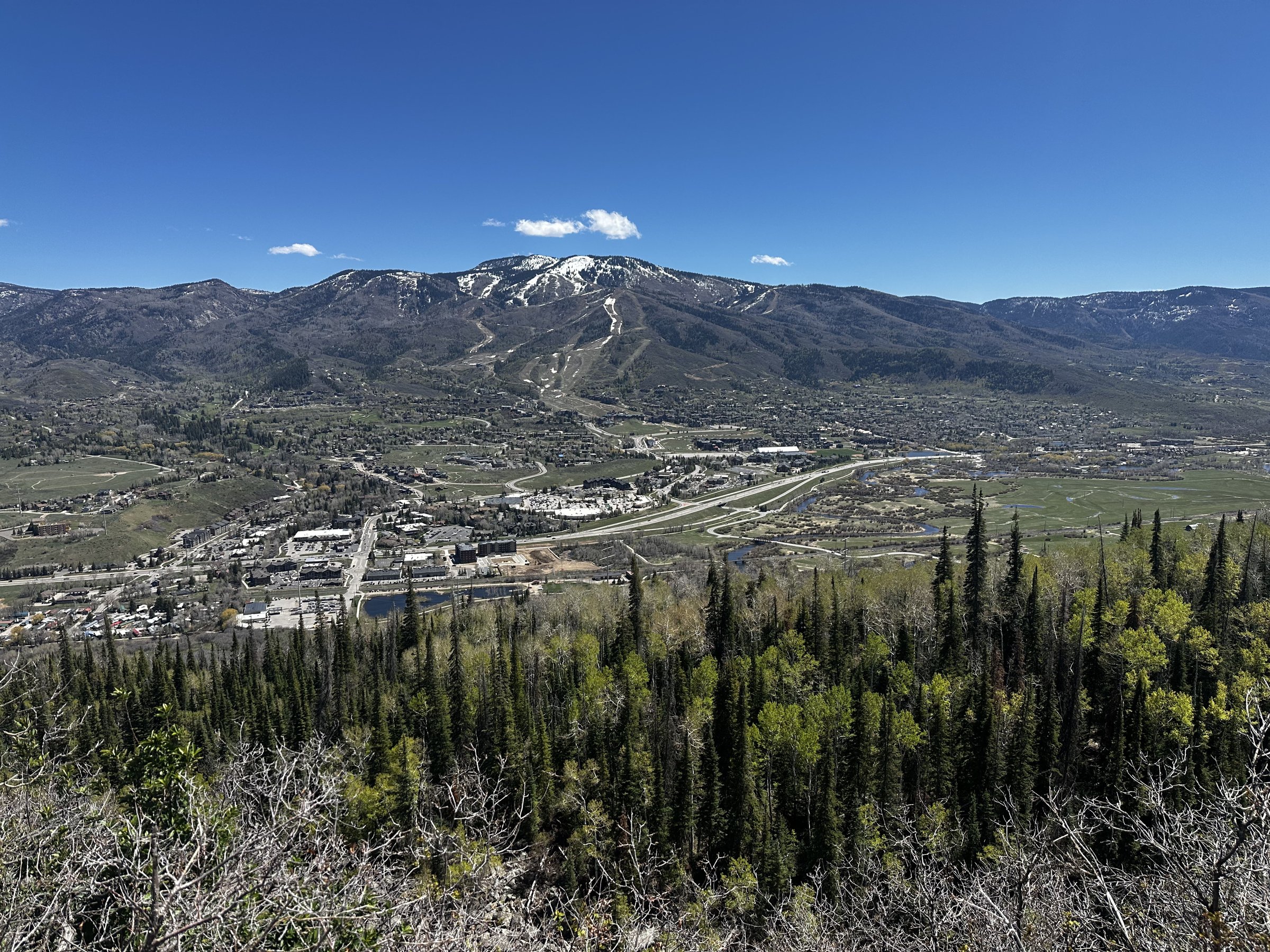View from Lupine Trail