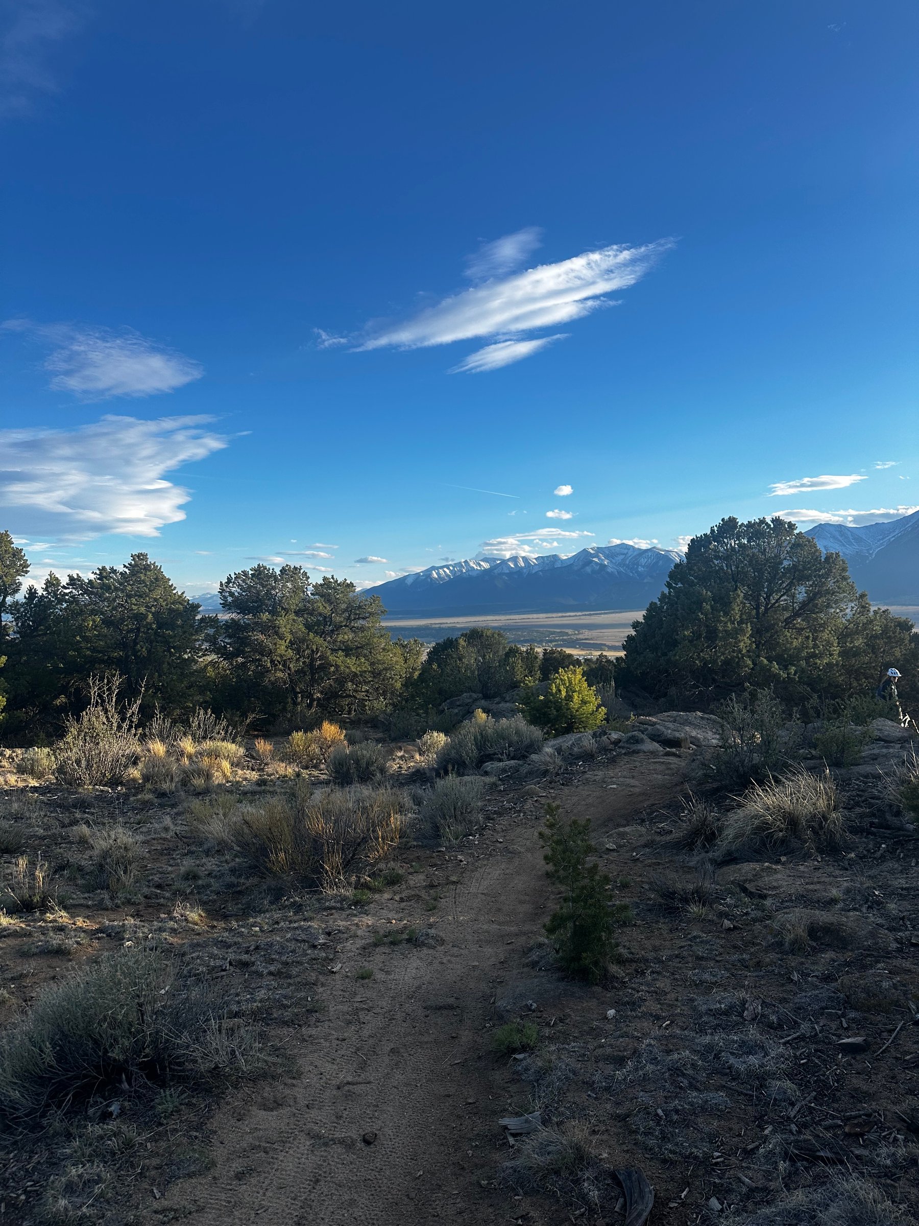 Buena Vista beauty