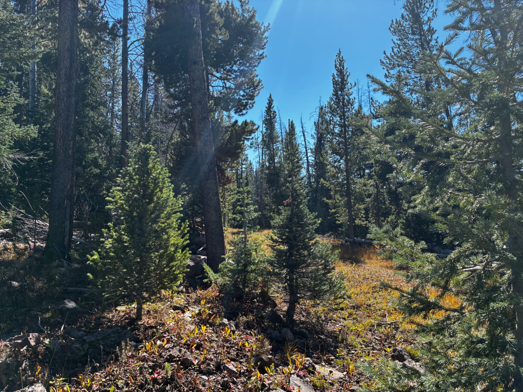 Trail 19: Part 2